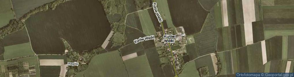 Zdjęcie satelitarne Kurów Wielki ul.